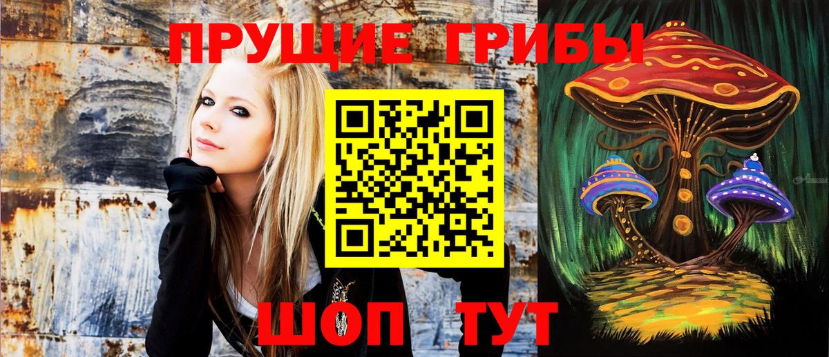 где купить наркоту  Галлюциногенные грибы ЛСД  Вход с VPN  Мурманск 