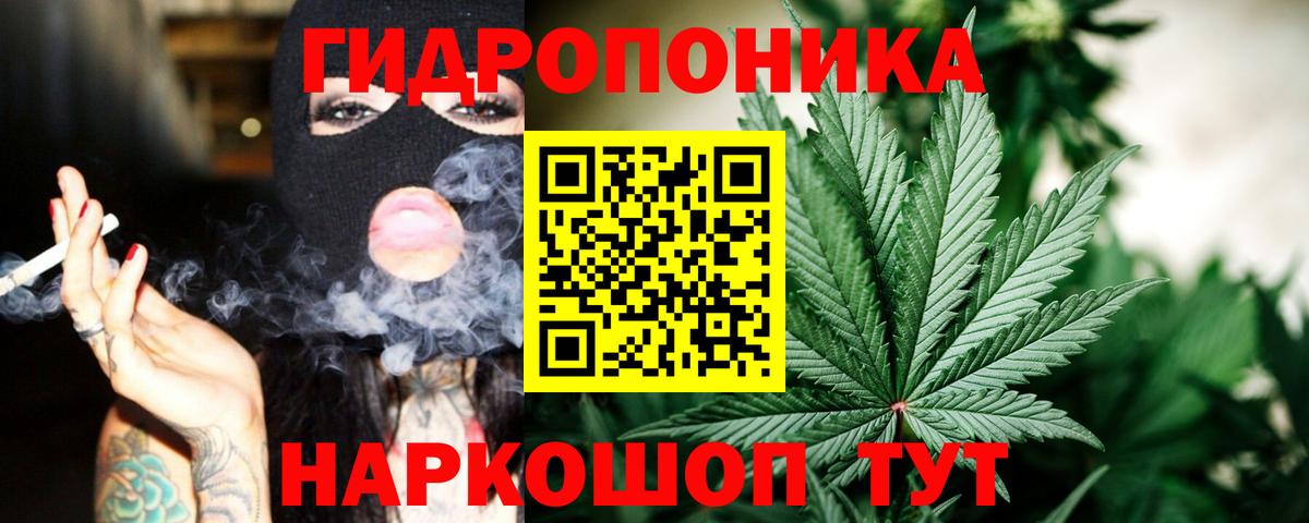 МАРИХУАНА семена Мурманск